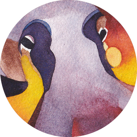 Poulpe detail Aquarelle CatMat 2022